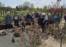 Powiększ zdjęcie Zwiedzanie Ogrodu Botanicznego