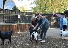 Powiększ zdjęcie Wycieczka do ZOO