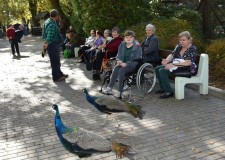 Powiększ zdjęcie Wycieczka do ZOO