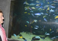 Powiększ zdjęcie Wycieczka do ZOO