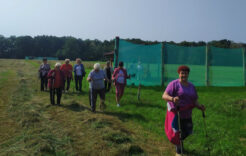 Więcej o: NORDIC WALKING