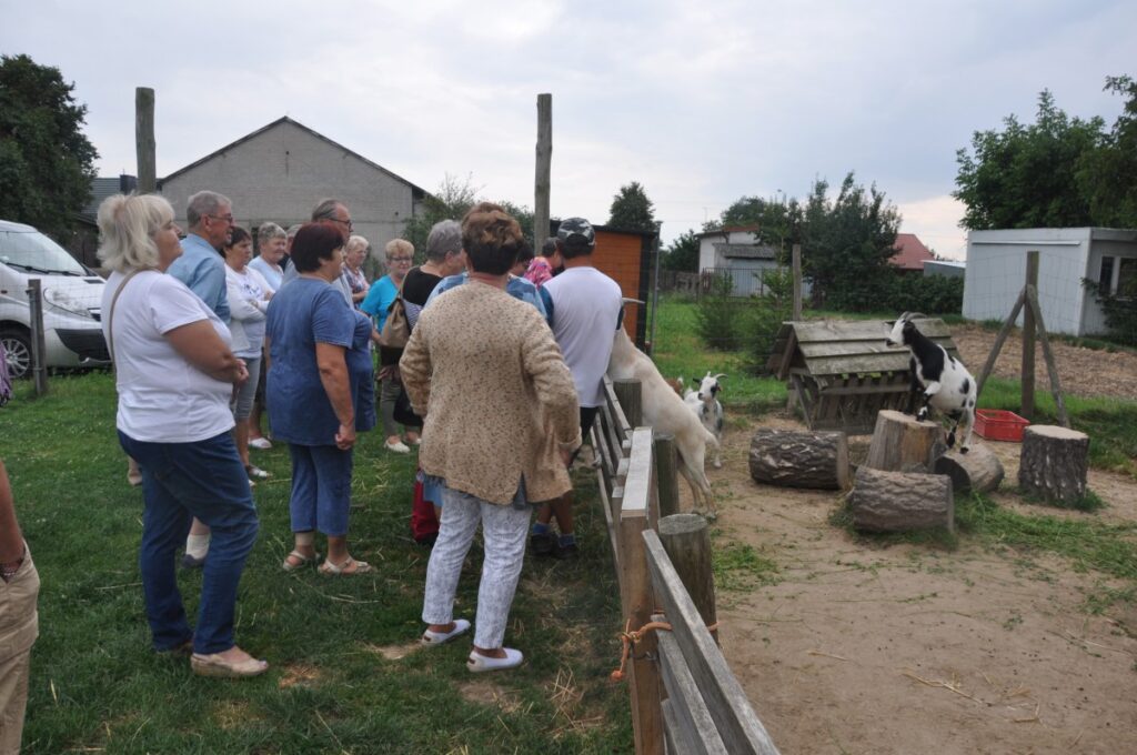 Zwiedzanie Ranczowiska