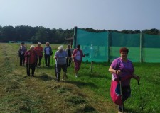 NORDIC WALKING